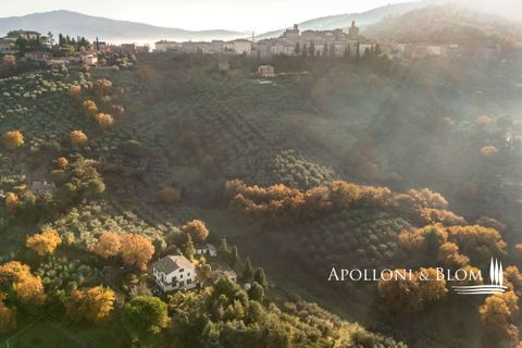 Lejlighed i Panicale, Perugia, Panicale - € 390.000 | Ref: PAN3462_1-873343 - foto 32