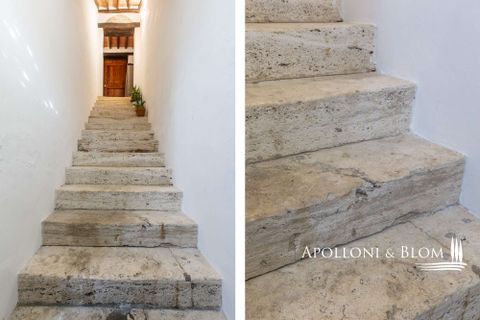 Villa a Asciano, Siena, Asciano - € 1.000.000 | Ref: ASC3465-873428 - foto 14