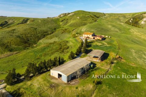 Villa a Asciano, Siena, Asciano - € 1.000.000 | Ref: ASC3465-873428 - foto 42