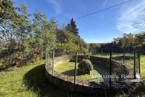 Farm hus i Bucine, Arezzo, Bucine - € 700.000 | Ref: ARZ3481-873654 - foto 16