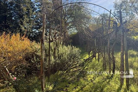 Farm hus i Bucine, Arezzo, Bucine - € 700.000 | Ref: ARZ3481-873654 - foto 28