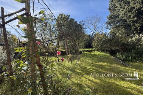 Farm hus i Bucine, Arezzo, Bucine - € 700.000 | Ref: ARZ3481-873654 - foto 29