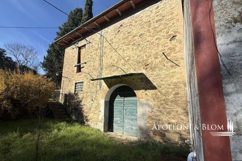 Farm hus i Bucine, Arezzo, Bucine - € 700.000 | Ref: ARZ3481-873654 - foto 36