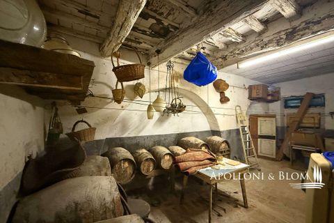 Farm hus i Bucine, Arezzo, Bucine - € 700.000 | Ref: ARZ3481-873654 - foto 38