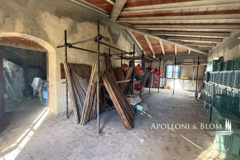 Farm hus i Bucine, Arezzo, Bucine - € 700.000 | Ref: ARZ3481-873654 - foto 39