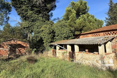Farm hus i Bucine, Arezzo, Bucine - € 700.000 | Ref: ARZ3481-873654 - foto 41