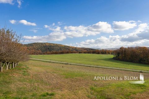 Villa i Sovicille, Siena, Sovicille - € 2.300.000 | Ref: SIE3503-873849 - foto 45