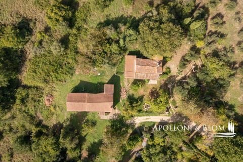 Villa i Umbertide, Perugia, Umbertide - € 750.000 | Ref: PER3535-874226 - foto 7