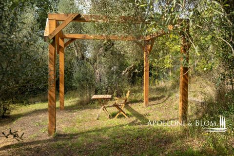 Villa i Umbertide, Perugia, Umbertide - € 750.000 | Ref: PER3535-874226 - foto 33