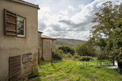 Villa i Umbertide, Perugia, Umbertide - € 750.000 | Ref: PER3535-874226 - foto 37