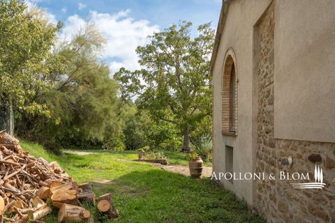 Villa i Umbertide, Perugia, Umbertide - € 750.000 | Ref: PER3535-874226 - foto 38