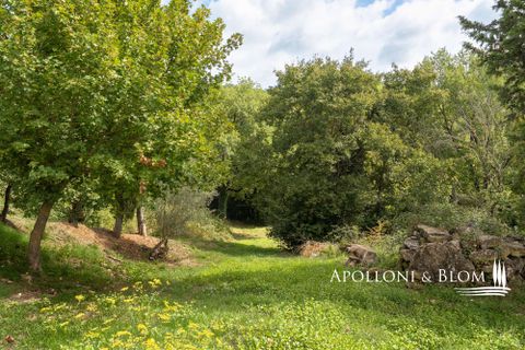 Villa i Umbertide, Perugia, Umbertide - € 750.000 | Ref: PER3535-874226 - foto 42