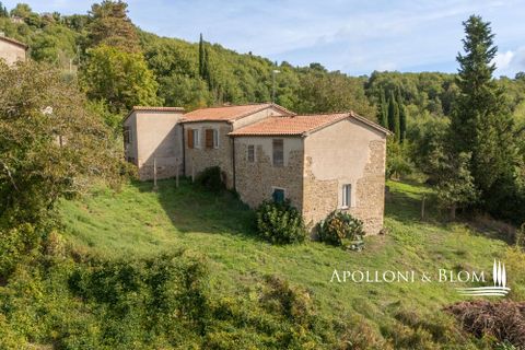 Villa i Umbertide, Perugia, Umbertide - € 750.000 | Ref: PER3535-874226 - foto 43