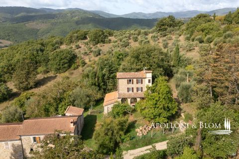 Villa i Umbertide, Perugia, Umbertide - € 750.000 | Ref: PER3535-874226 - foto 44
