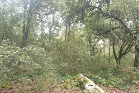 Villa i Amelia, Terni, Amelia - € 69.000 | Ref: PORCHIANO05-875190 - foto 5