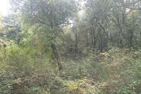 Villa i Amelia, Terni, Amelia - € 69.000 | Ref: PORCHIANO05-875190 - foto 9