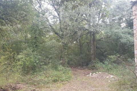 Villa i Amelia, Terni, Amelia - € 69.000 | Ref: PORCHIANO05-875190 - foto 12