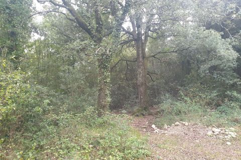 Villa i Amelia, Terni, Amelia - € 69.000 | Ref: PORCHIANO05-875190 - foto 14
