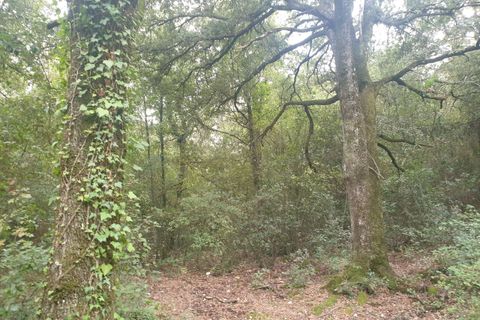 Villa i Amelia, Terni, Amelia - € 69.000 | Ref: PORCHIANO05-875190 - foto 16