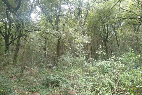 Villa i Amelia, Terni, Amelia - € 69.000 | Ref: PORCHIANO05-875190 - foto 18