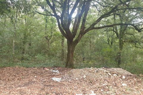 Villa i Amelia, Terni, Amelia - € 69.000 | Ref: PORCHIANO05-875190 - foto 21