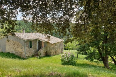 Villa a Orvieto, Terni, Orvieto - € 300.000 | Ref: PRODO02-875274 - foto 4