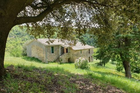 Villa a Orvieto, Terni, Orvieto - € 300.000 | Ref: PRODO02-875274 - foto 5