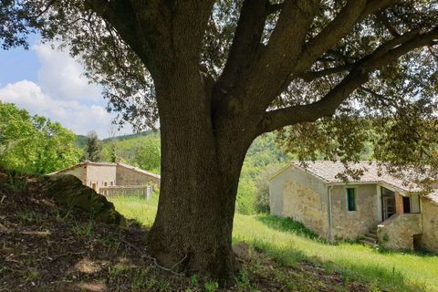 Villa a Orvieto, Terni, Orvieto - € 300.000 | Ref: PRODO02-875274 - foto 6