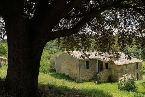 Villa a Orvieto, Terni, Orvieto - € 300.000 | Ref: PRODO02-875274 - foto 7