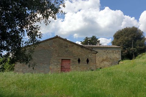 Villa a Orvieto, Terni, Orvieto - € 300.000 | Ref: PRODO02-875274 - foto 14