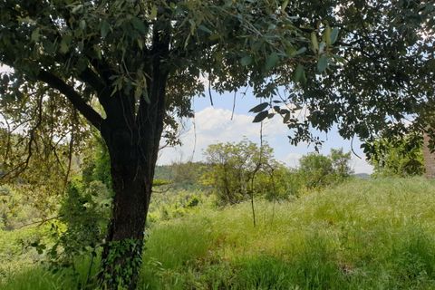 Villa a Orvieto, Terni, Orvieto - € 300.000 | Ref: PRODO02-875274 - foto 15