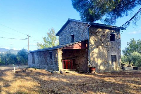 Villa em Baschi, Terni, Baschi - € 265.000 | Ref: BASCHI04-875360 - foto 1