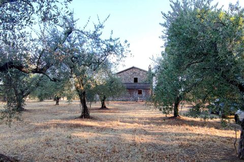 Villa em Baschi, Terni, Baschi - € 265.000 | Ref: BASCHI04-875360 - foto 3