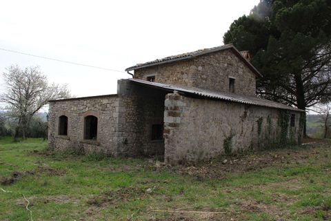 Villa em Baschi, Terni, Baschi - € 265.000 | Ref: BASCHI04-875360 - foto 6
