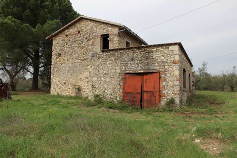 Villa em Baschi, Terni, Baschi - € 265.000 | Ref: BASCHI04-875360 - foto 8