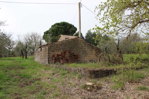 Villa em Baschi, Terni, Baschi - € 265.000 | Ref: BASCHI04-875360 - foto 10