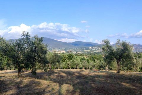 Villa em Baschi, Terni, Baschi - € 265.000 | Ref: BASCHI04-875360 - foto 11