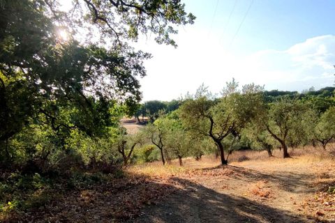 Villa em Baschi, Terni, Baschi - € 265.000 | Ref: BASCHI04-875360 - foto 13