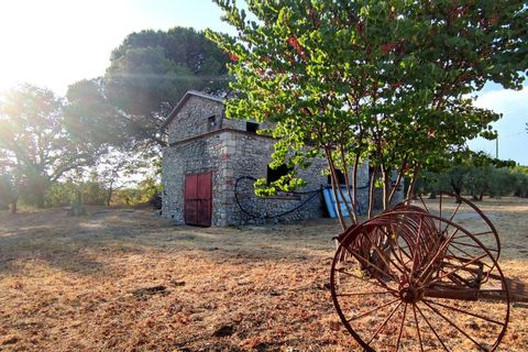 Villa em Baschi, Terni, Baschi - € 265.000 | Ref: BASCHI04-875360 - foto 20