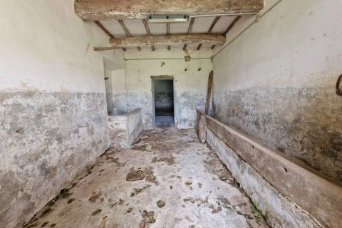 Villa i Amelia, Terni, Amelia - € 168.000 | Ref: AMELIA17-875468 - foto 3