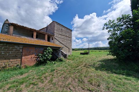 Villa i Amelia, Terni, Amelia - € 168.000 | Ref: AMELIA17-875468 - foto 13