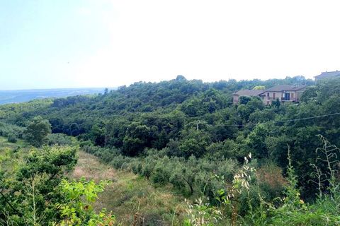 Villa a Orvieto, Terni, Orvieto - € 359.000 | Ref: PRODO04-875556 - foto 3