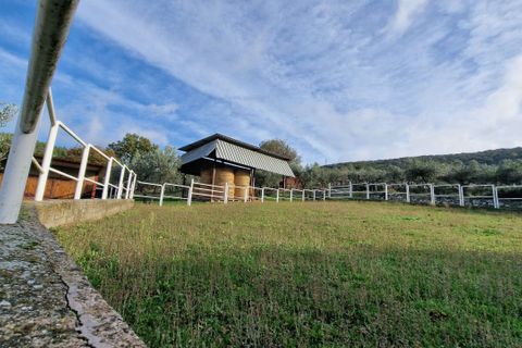 Villa i Guardea, Terni, Guardea - € 500.000 | Ref: GUARDEA30-875702 - foto 22