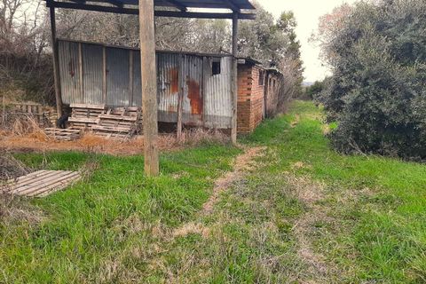 Villa i Todi, Perugia, Todi - € 85.000 | Ref: PESCIANO01-875943 - foto 17