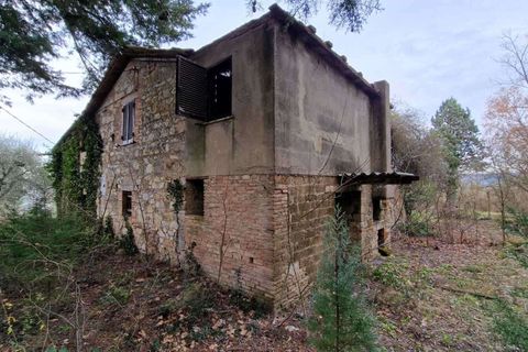 Villa i Todi, Perugia, Todi - € 85.000 | Ref: PESCIANO01-875943 - foto 22