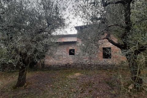 Villa i Todi, Perugia, Todi - € 85.000 | Ref: PESCIANO01-875943 - foto 23