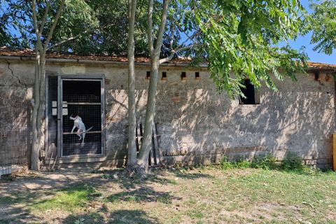 Villa i Montecastrilli, Terni, Montecastrilli - € 100.000 | Ref: MONTECASTRILLI06-1-876021 - foto 4