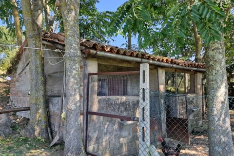 Villa i Montecastrilli, Terni, Montecastrilli - € 100.000 | Ref: MONTECASTRILLI06-1-876021 - foto 8