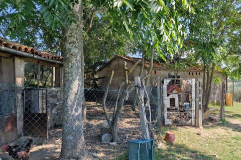 Villa i Montecastrilli, Terni, Montecastrilli - € 100.000 | Ref: MONTECASTRILLI06-1-876021 - foto 9