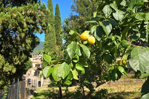 Villa a Montecchio, Terni, Montecchio - € 110.000 | Ref: MON031-876190 - foto 5